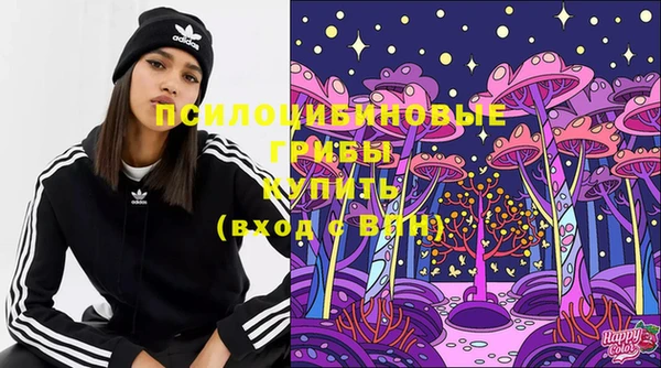 стафф Алексеевка